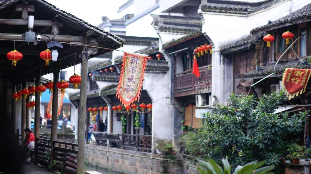 饿狮救援